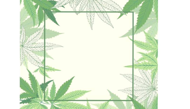 medical marijuana card 
