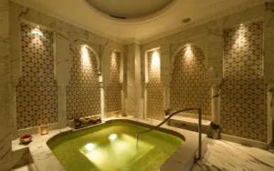 best spa hotel in delhi